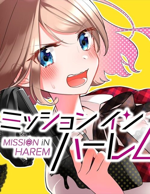 Mission in Harem